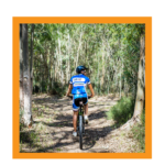 Tour delle Pinete - Torregrande (OR)